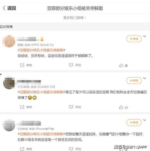 娱乐吃瓜除了豆瓣还有谁,除了豆瓣，还有哪些平台助你吃瓜不停